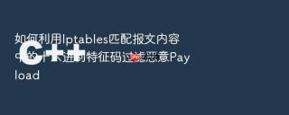 如何利用iptables匹配报文内容中的十六进制特征码过滤恶意payload