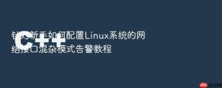 针对新手如何配置Linux系统的网络接口混杂模式告警教程
