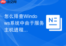 怎么排查Windows系统中由于服务主机进程Svchost占用网络带宽过高