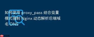 如何使用 proxy_pass 结合变量模式强制 nginx 动态解析后端域名 dns
