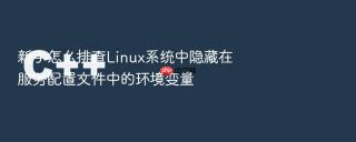 新手怎么排查linux系统中隐藏在服务配置文件中的环境变量