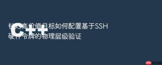 针对高价值目标如何配置基于ssh硬件令牌的物理层级验证