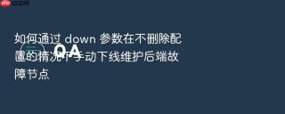 如何通过 down 参数在不删除配置的情况下手动下线维护后端故障节点