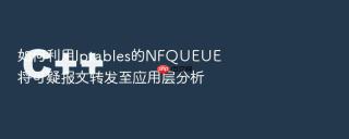 如何利用iptables的nfqueue将可疑报文转发至应用层分析