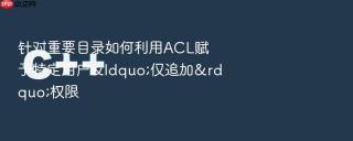 针对重要目录如何利用ACL赋予特定用户&ldquo;仅追加&rdquo;权限