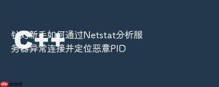 针对新手如何通过Netstat分析服务器异常连接并定位恶意PID