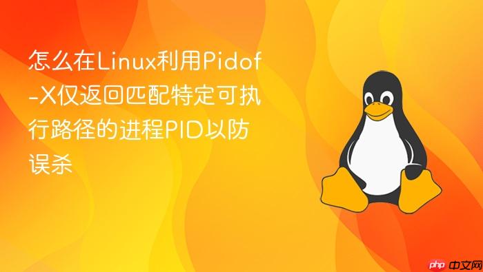 怎么在linux利用pidof-x仅返回匹配特定可执行路径的进程pid以防误杀