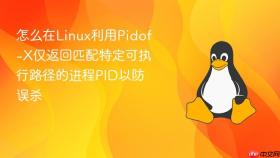 怎么在linux利用pidof-x仅返回匹配特定可执行路径的进程pid以防误杀