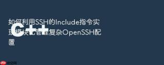 如何利用ssh的include指令实现模块化管理复杂openssh配置