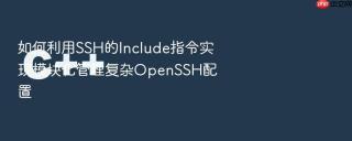 如何利用SSH的Include指令实现模块化管理复杂OpenSSH配置