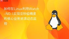 如何在linux利用watch-n0.1实现亚秒级精度的核心业务资源动态监控