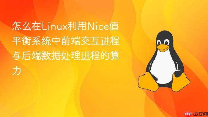 怎么在linux利用nice值平衡系统中前端交互进程与后端数据处理进程的算力