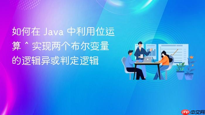 如何在 java 中利用位运算 ^ 实现两个布尔变量的逻辑异或判定逻辑