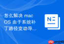 怎么解决 macOS 由于系统补丁路径变动导致的软件符号链接失效