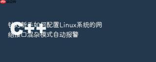 针对新手如何配置Linux系统的网络接口混杂模式自动报警