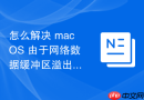 怎么解决 macOS 由于网络数据缓冲区溢出导致的系统底层索引数据库坏