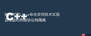 如何利用linux命名空间技术实现进程级的网络协议栈隔离
