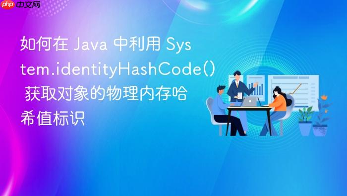 如何在 java 中利用 system.identityhashcode() 获取对象的物理内存哈希值标识