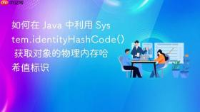 如何在 java 中利用 system.identityhashcode() 获取对象的物理内存哈希值标识