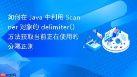 如何在 java 中利用 scanner 对象的 delimiter() 方法获取当前正在使用的分隔正则