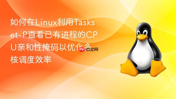 如何在linux利用taskset-p查看已有进程的cpu亲和性掩码以优化多核调度效率