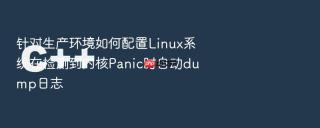 针对生产环境如何配置Linux系统在检测到内核Panic时自动dump日志