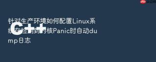针对生产环境如何配置linux系统在检测到内核panic时自动dump日志