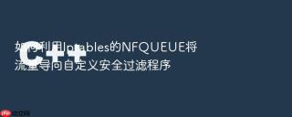 如何利用iptables的nfqueue将流量导向自定义安全过滤程序