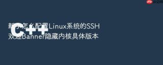 新手怎么配置Linux系统的SSH欢迎Banner隐藏内核具体版本