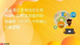 怎么通过 反射动态生成 proxy 实例 实现面向切面编程(aop)中的核心拦截逻辑
