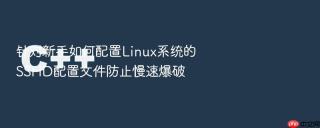 针对新手如何配置Linux系统的SSHD配置文件防止慢速爆破