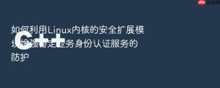 如何利用linux内核的安全扩展模块增强特定业务身份认证服务的防护