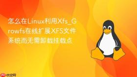 怎么在linux利用xfs_growfs在线扩展xfs文件系统而无需卸载挂载点