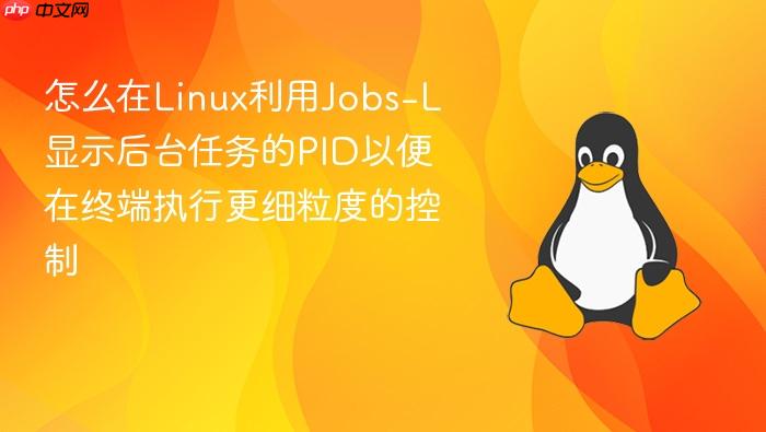 怎么在linux利用jobs-l显示后台任务的pid以便在终端执行更细粒度的控制