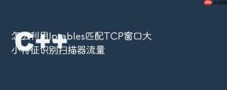 怎么利用iptables匹配tcp窗口大小特征识别扫描器流量