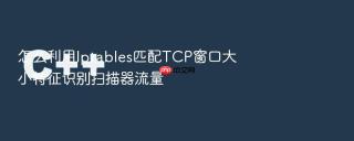 怎么利用Iptables匹配TCP窗口大小特征识别扫描器流量