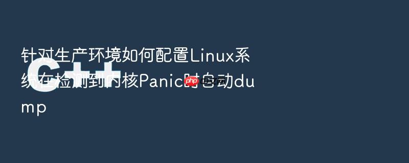 针对生产环境如何配置linux系统在检测到内核panic时自动dump