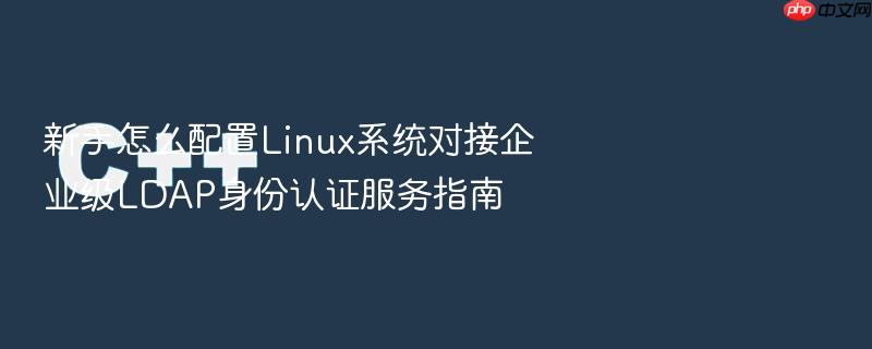 新手怎么配置linux系统对接企业级ldap身份认证服务指南