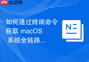 如何通过终端命令获取 macOS 系统全链路网络连接的实时运行健康评分