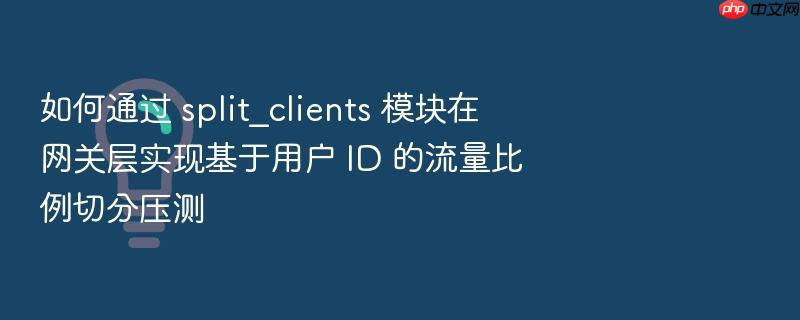 如何通过 split_clients 模块在网关层实现基于用户 id 的流量比例切分压测