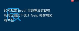如何配置 brotli 压缩算法实现在相同压缩比下优于 gzip 的前端加载体验