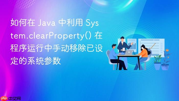 如何在 java 中利用 system.clearproperty() 在程序运行中手动移除已设定的系统参数