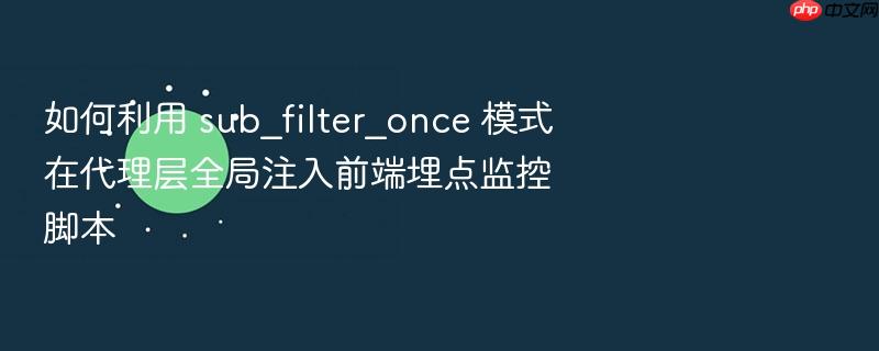 如何利用 sub_filter_once 模式在代理层全局注入前端埋点监控脚本