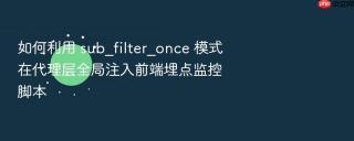 如何利用 sub_filter_once 模式在代理层全局注入前端埋点监控脚本