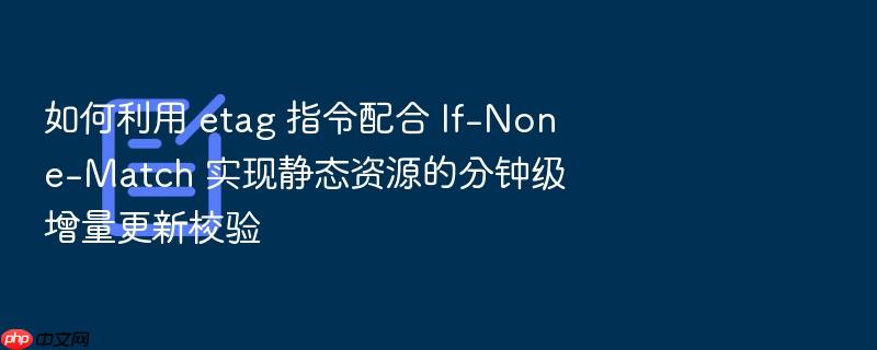 如何利用 etag 指令配合 if-none-match 实现静态资源的分钟级增量更新校验