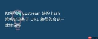 如何利用 upstream 块的 hash 策略实现基于 url 路径的会话一致性保持