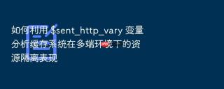 如何利用 $sent_http_vary 变量分析缓存系统在多端环境下的资源隔离表现