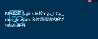 如何配置 nginx 监控 ngx_http_slice_module 分片回源请求的详细执行序列