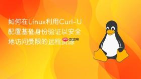 如何在linux利用curl-u配置基础身份验证以安全地访问受限的远程资源