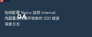 如何配置 nginx 监控 internal 内部重定向循环导致的 500 错误深度日志